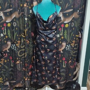 Disturbia Medeina Cowl Slip Midi Dress